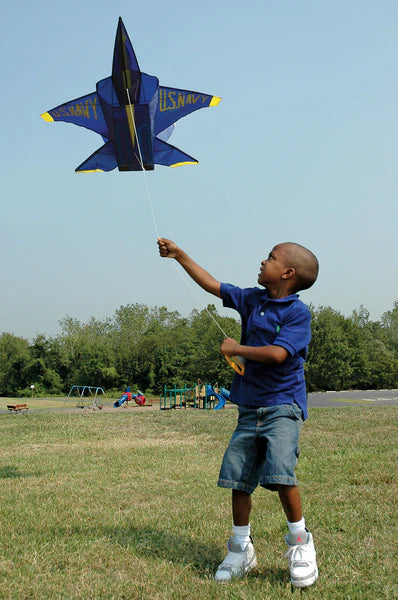 3D Jet Kite - Blue Angel