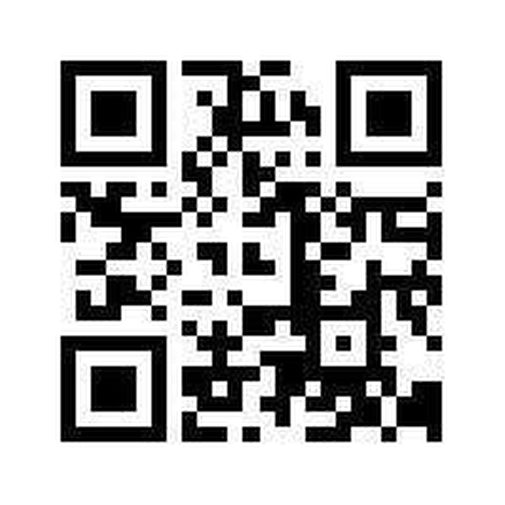 DORSAL Travel Shortboard and Longboard Surfboard Board Day Bag Cover