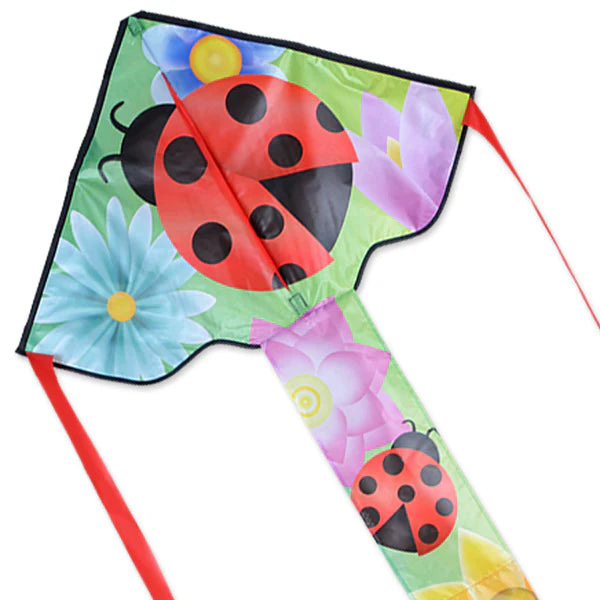 Large Easy Flyer (All)