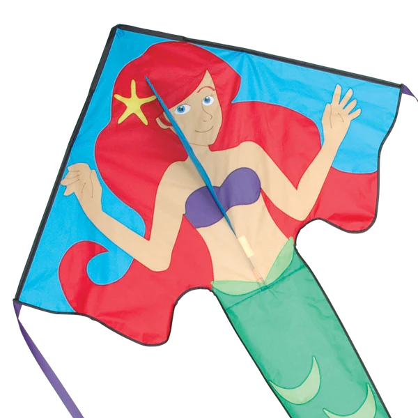 Large Easy Flyer (All)