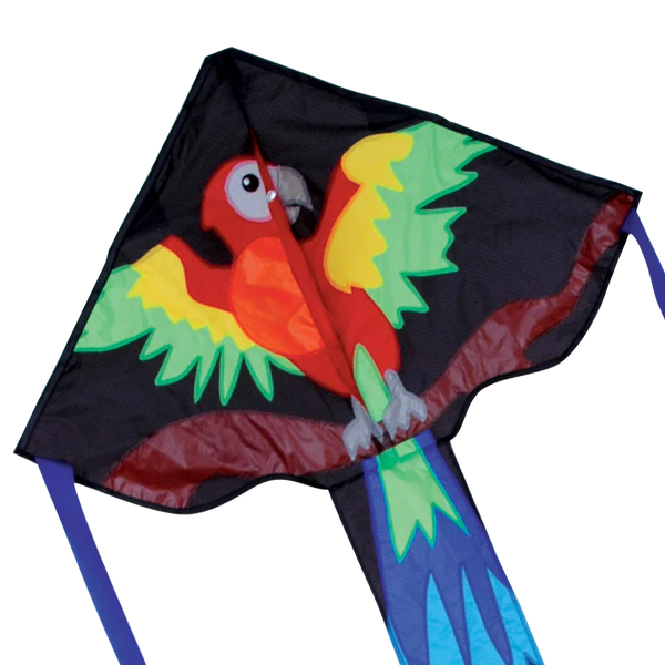 Large Easy Flyer (All)
