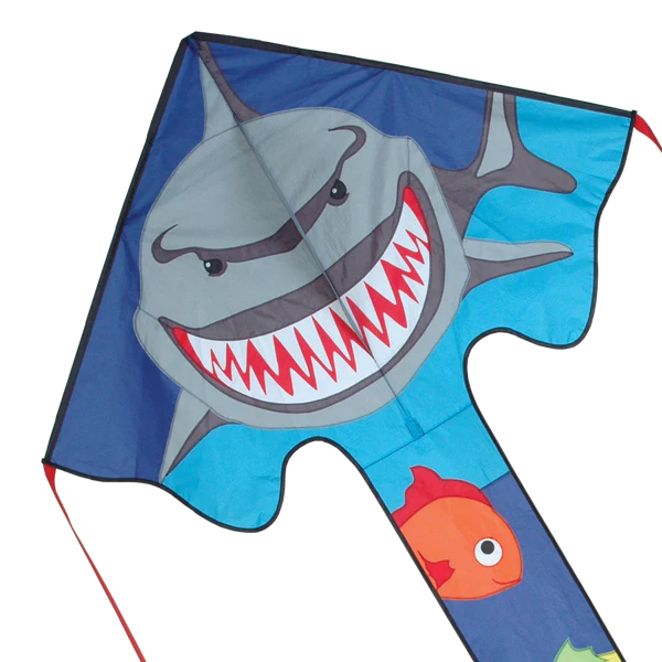 Large Easy Flyer (All)