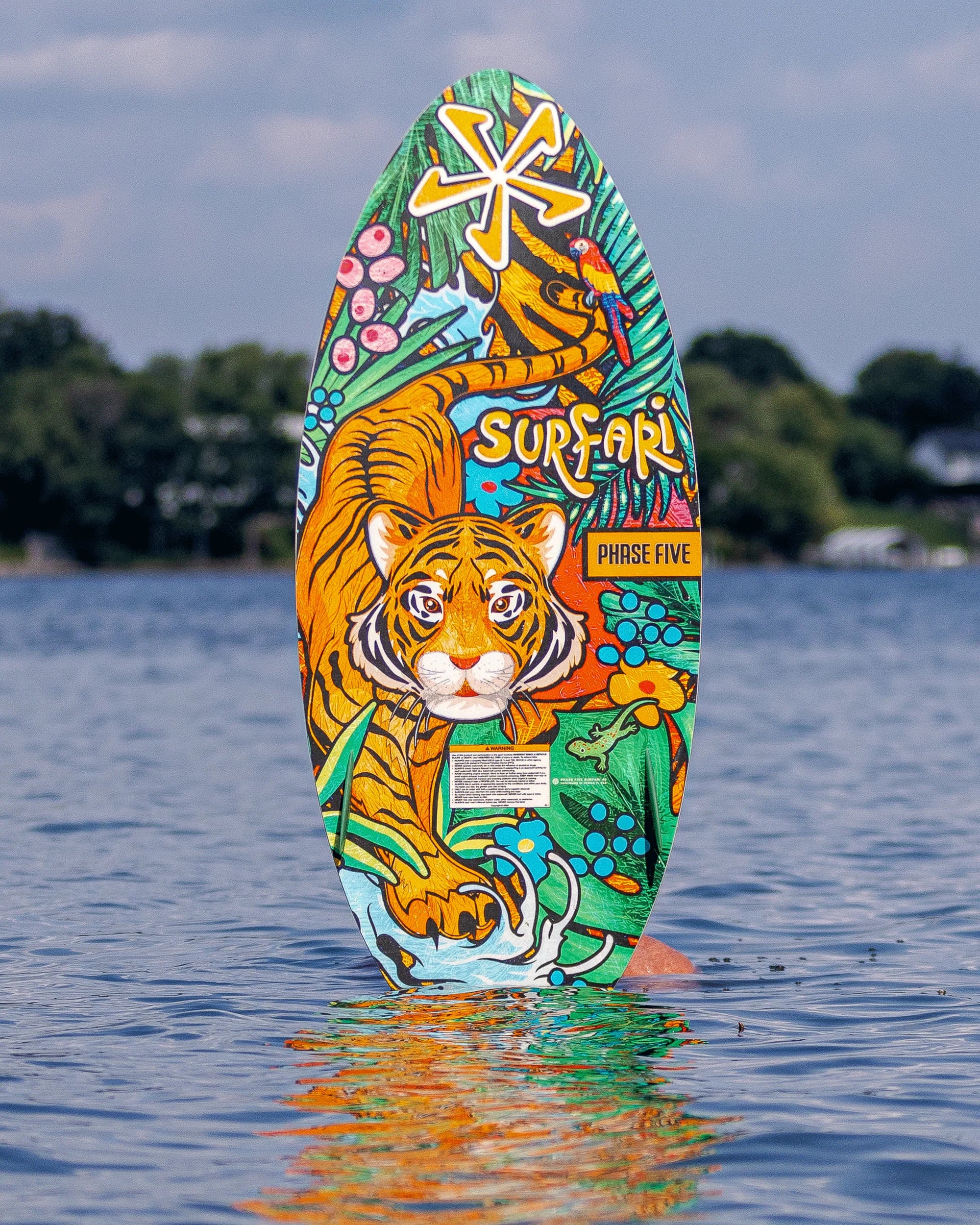 Phase Five Surfari