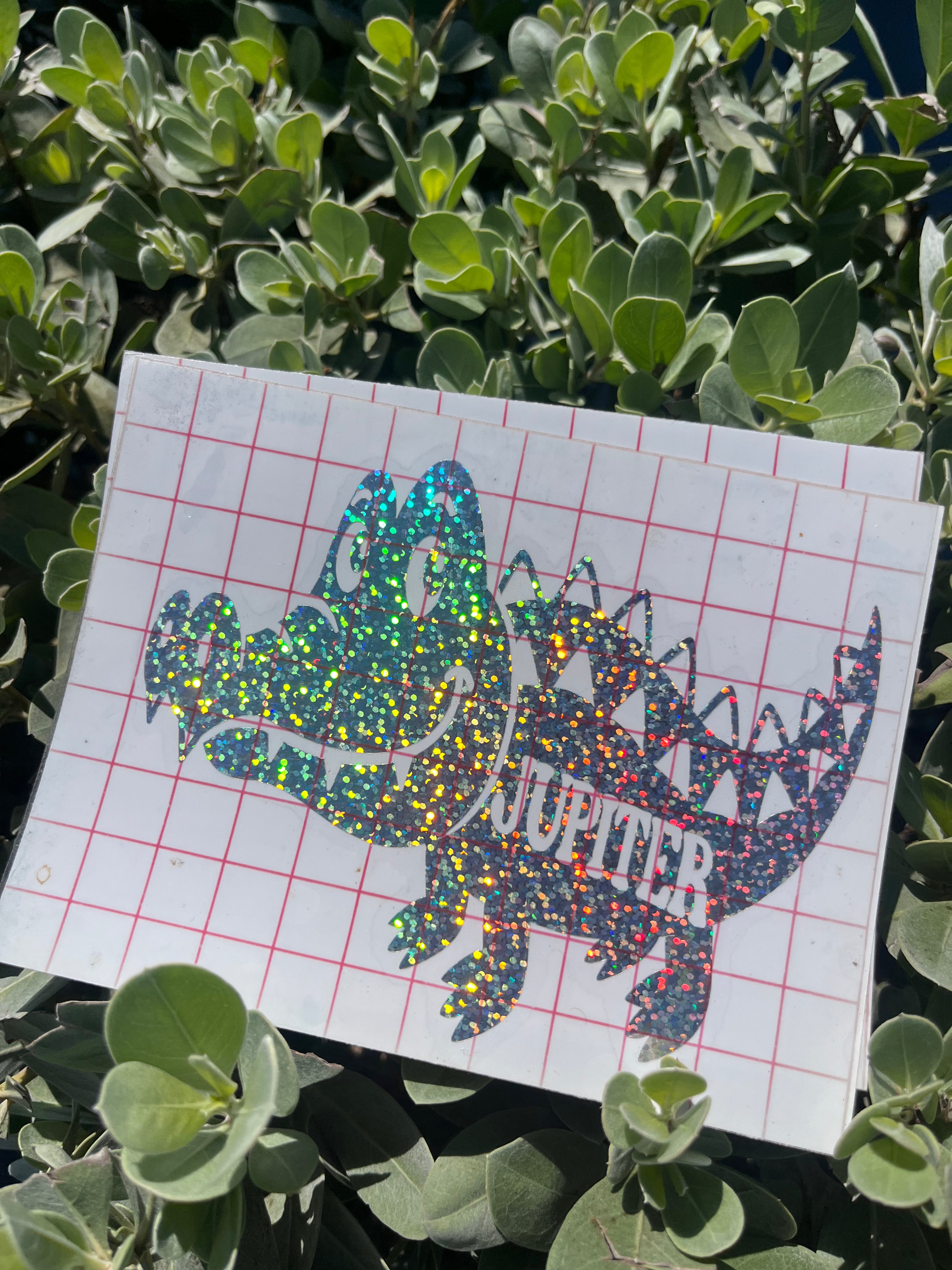 Jupiter Town Stickers