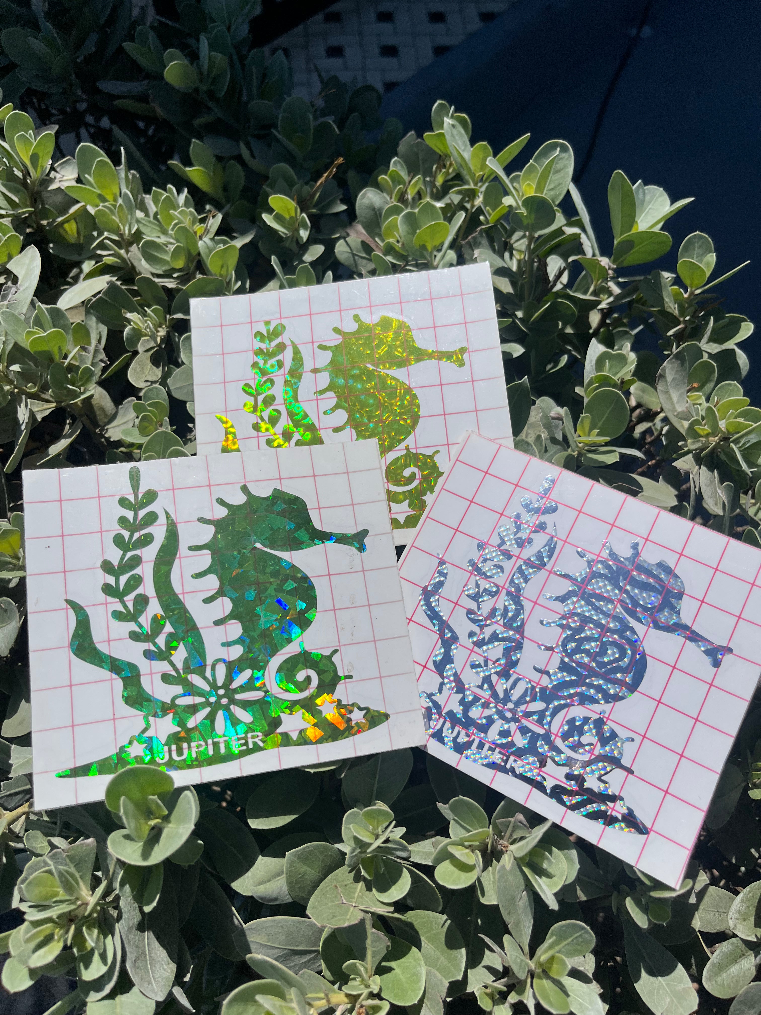 Jupiter Town Stickers