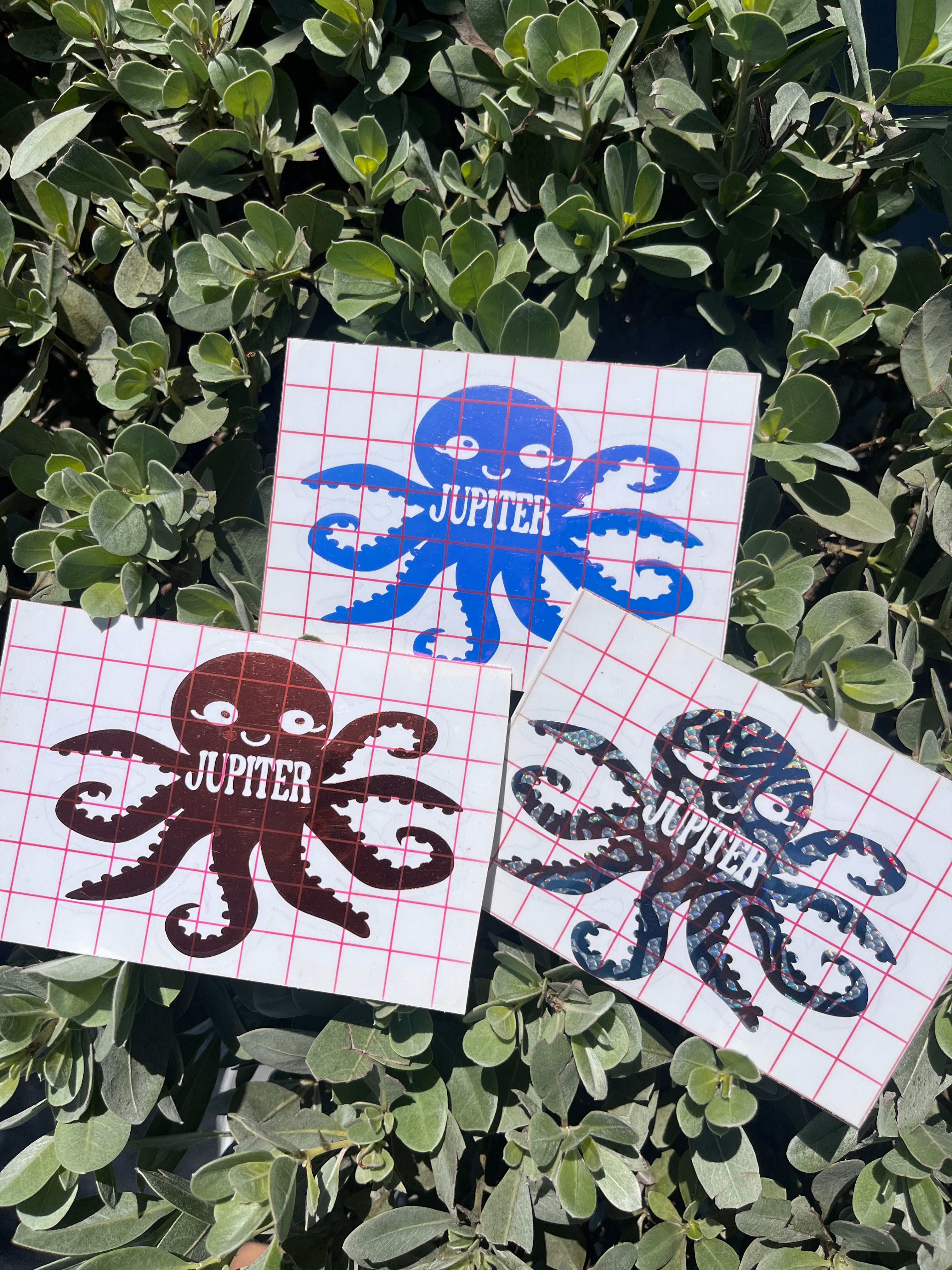 Jupiter Town Stickers