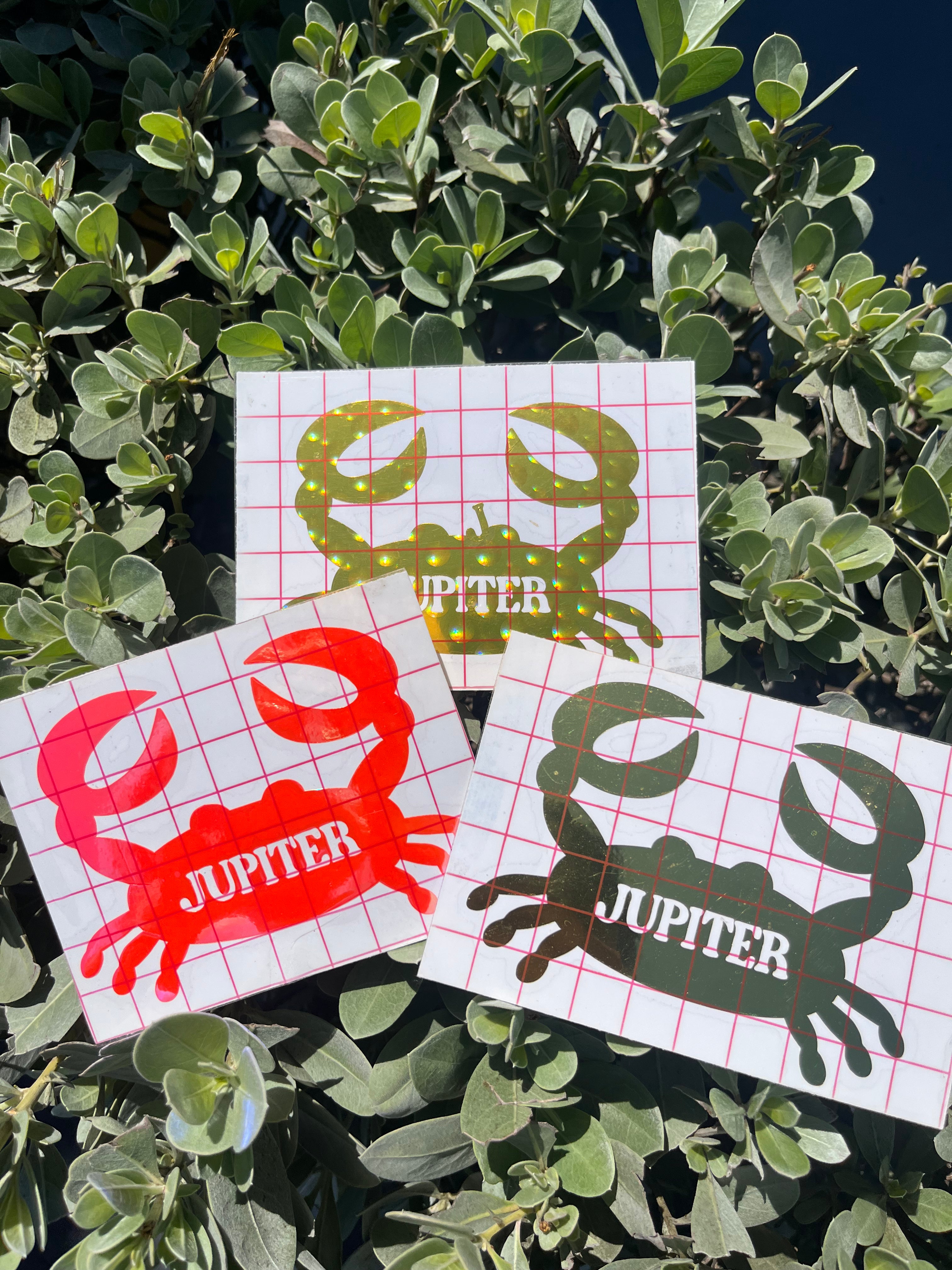 Jupiter Town Stickers