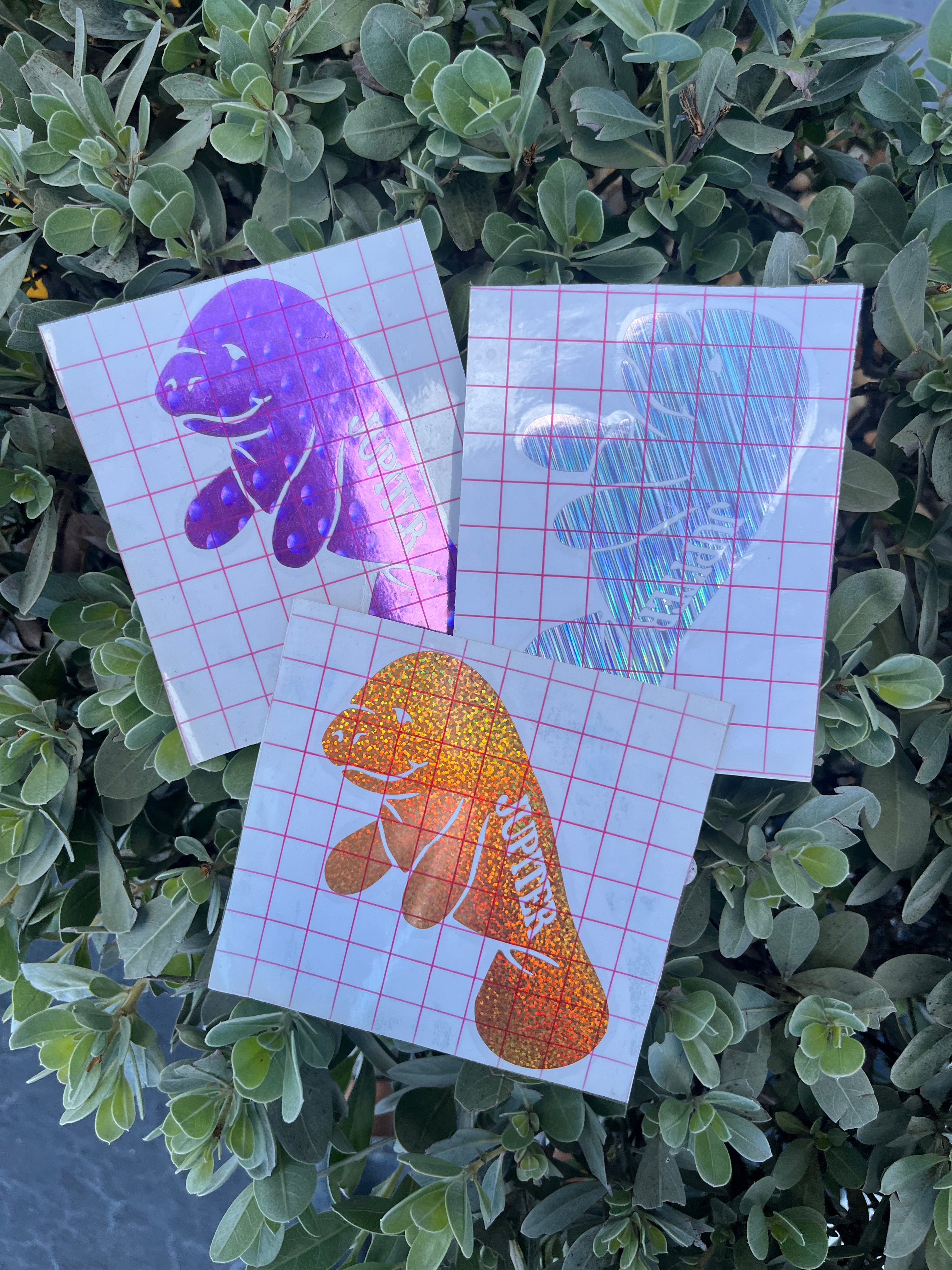 Jupiter Town Stickers