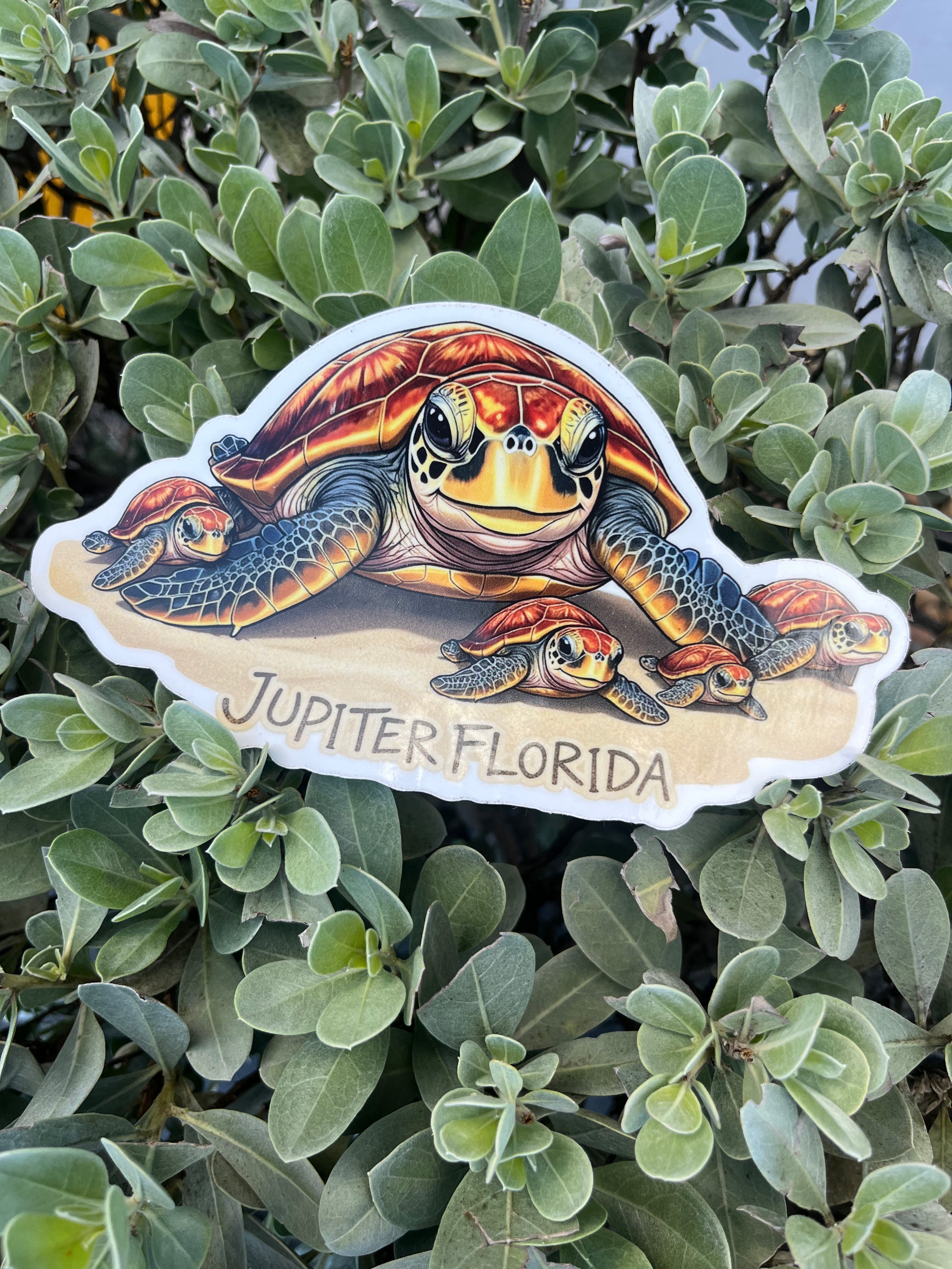 Jupiter Random Stickers
