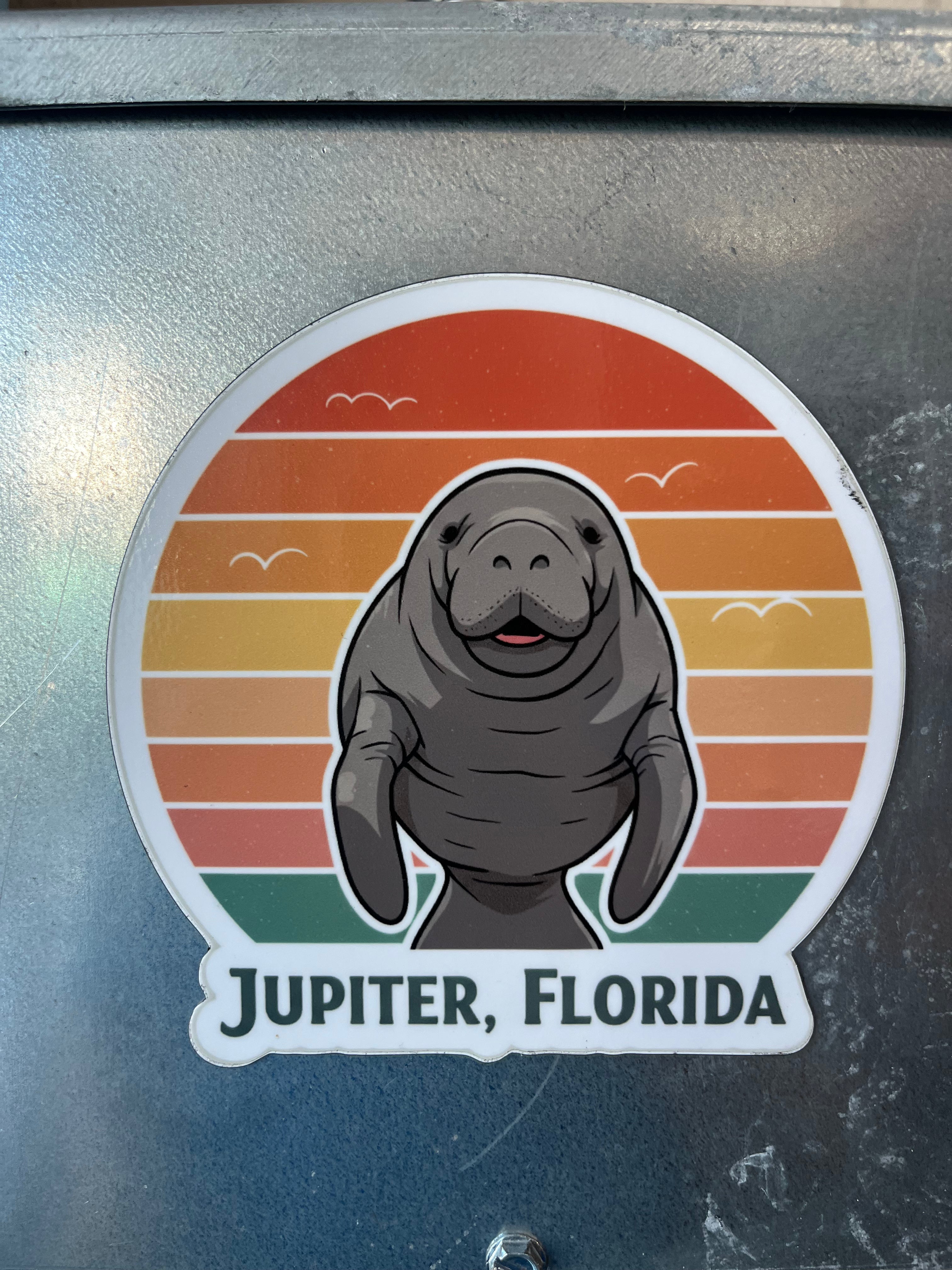 Jupiter Random Magnets