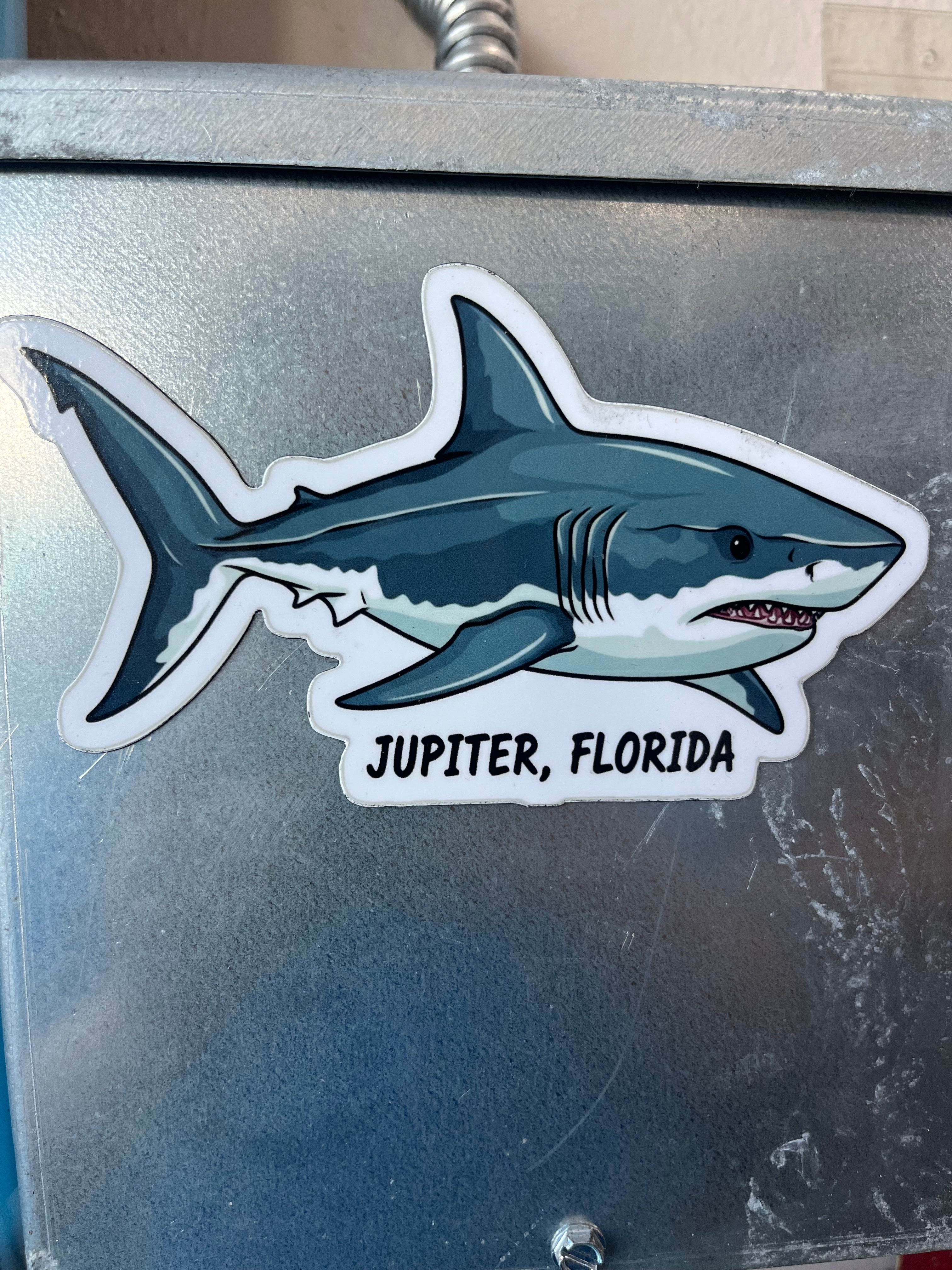 Jupiter Random Magnets