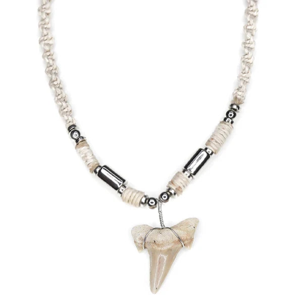 Charming Shark Hemp Braid Fossil Sharks Tooth Necklace