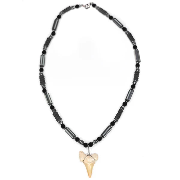 Charming Shark Black Waters Fossil Shark Tooth Necklace
